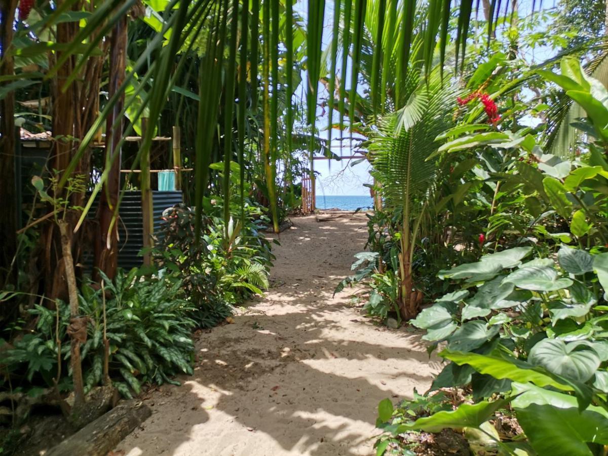 Oasis Beachfront Hostel Puerto Limon Extérieur photo