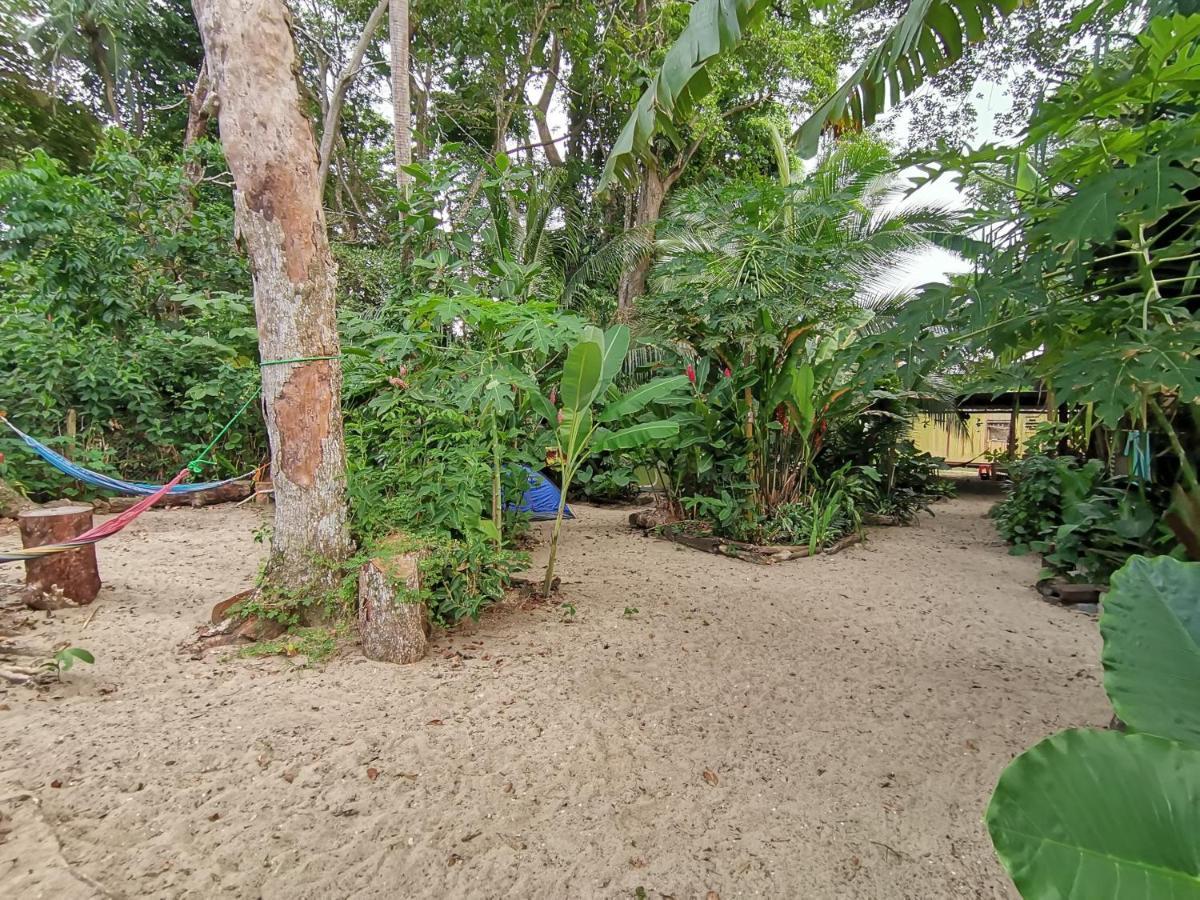 Oasis Beachfront Hostel Puerto Limon Extérieur photo