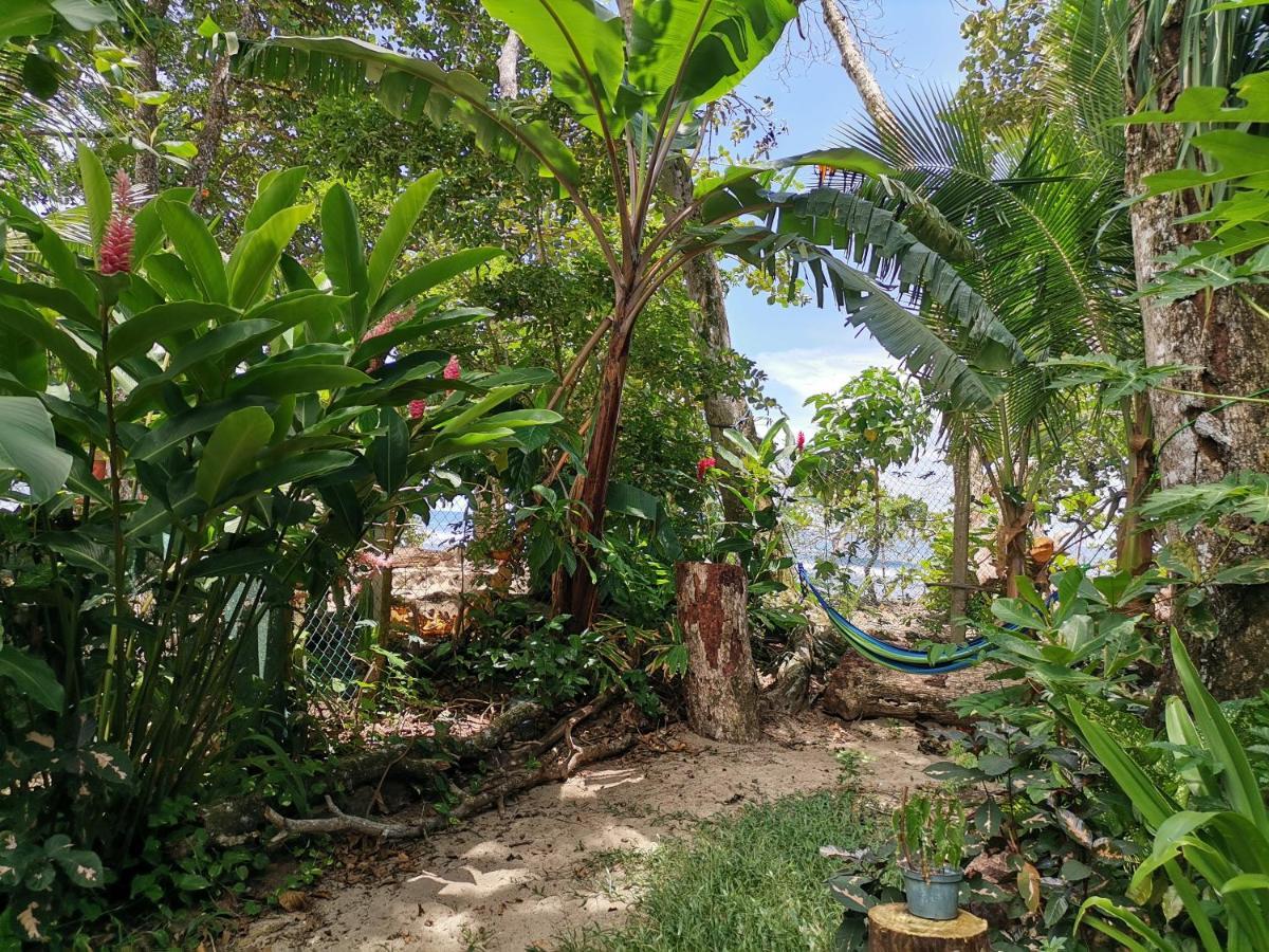 Oasis Beachfront Hostel Puerto Limon Extérieur photo